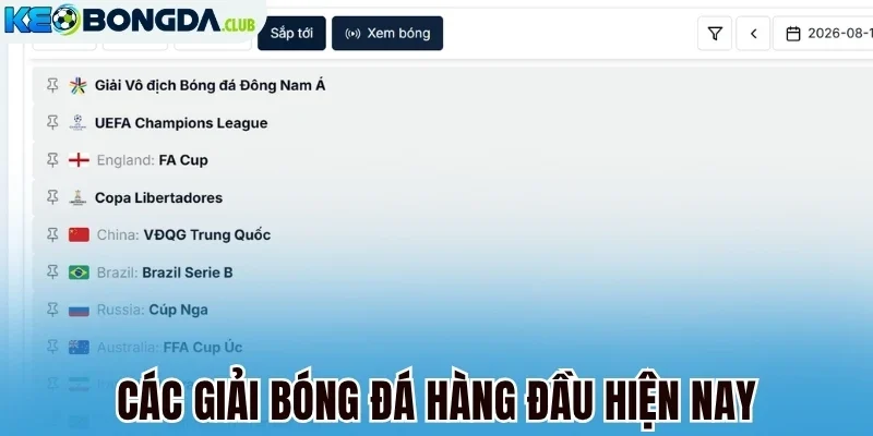 Các giải bóng đá hàng đầu hiện nay