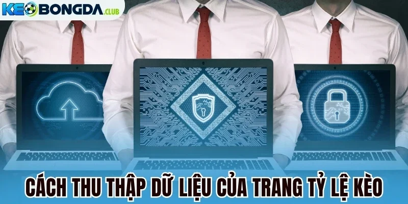 Cách thu thập dữ liệu của trang tỷ lệ kèo