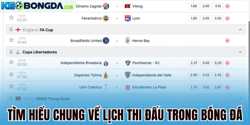 Tìm hiểu chung về lịch thi đấu trong bóng đá
