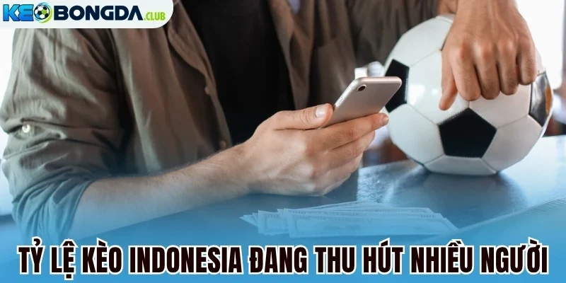 Tỷ lệ kèo Indonesia đang thu hút nhiều người