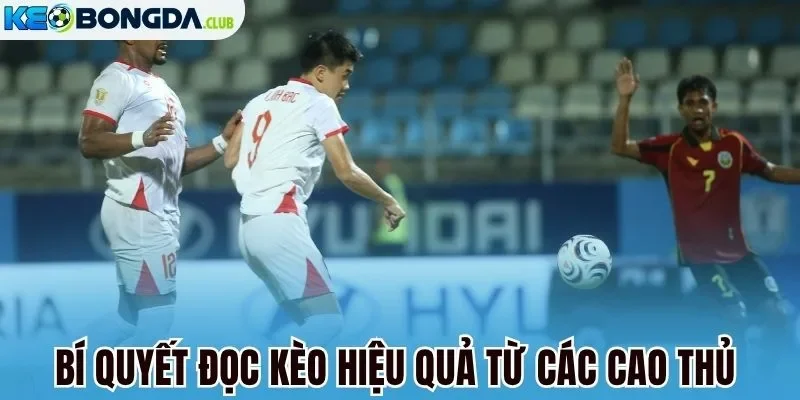 Bí quyết đọc kèo hiệu quả từ các cao thủ
