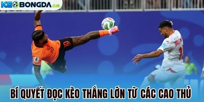 Bí quyết đọc kèo thắng lớn từ các cao thủ