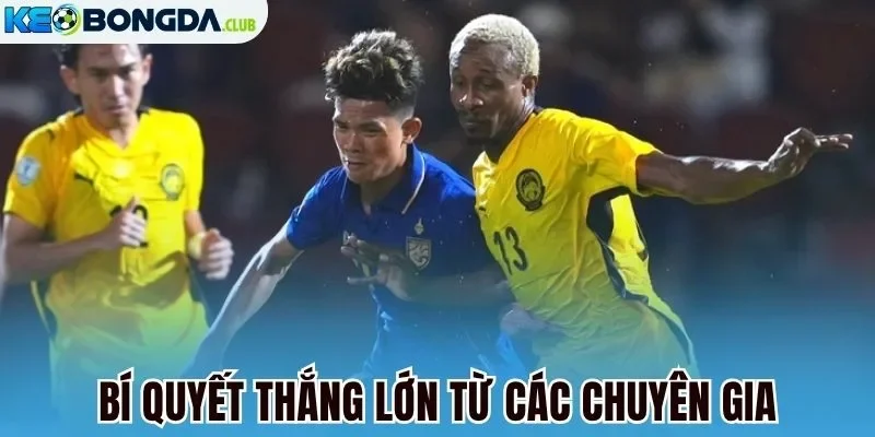 Bí quyết thắng lớn từ các chuyên gia
