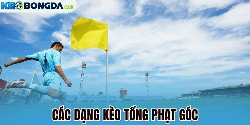Các dạng kèo tổng phạt góc