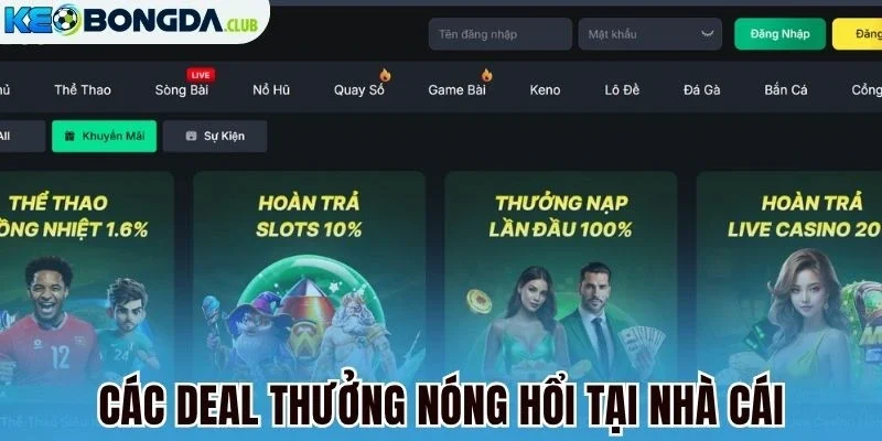 Các deal thưởng nóng hổi tại nhà cái