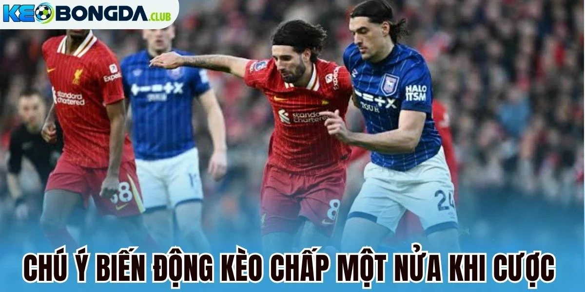 Chú ý biến động kèo chấp một nửa khi cược 