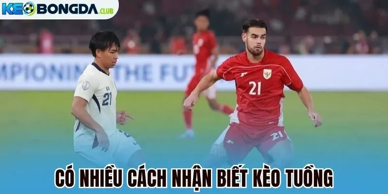 Có nhiều cách nhận biết kèo tuồng