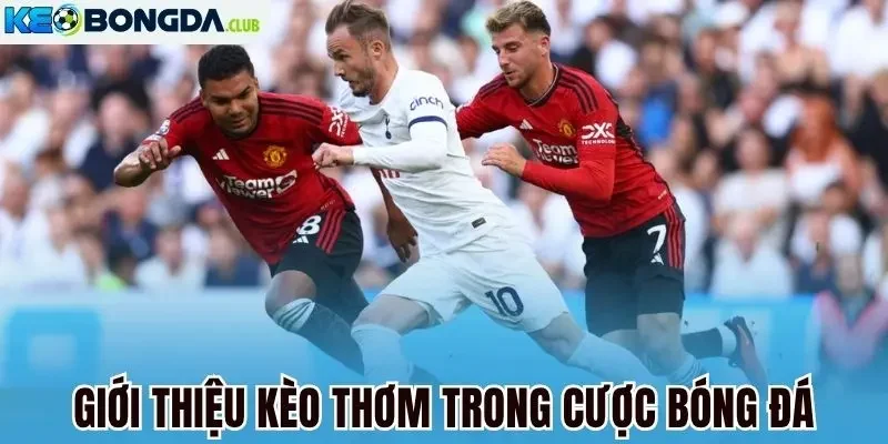 Giới thiệu kèo thơm trong cược bóng đá