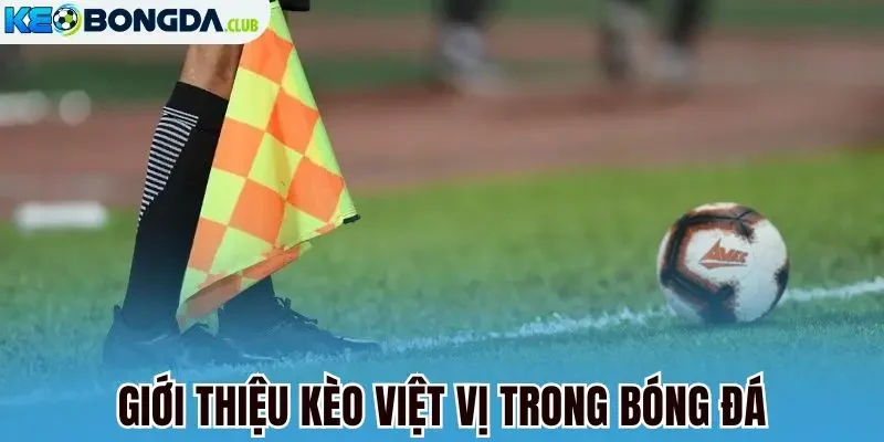 Giới thiệu kèo việt vị trong bóng đá
