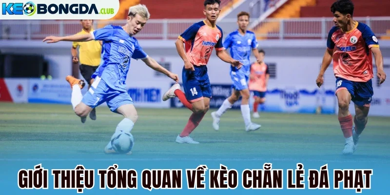Giới thiệu tổng quan về kèo chẵn lẻ đá phạt