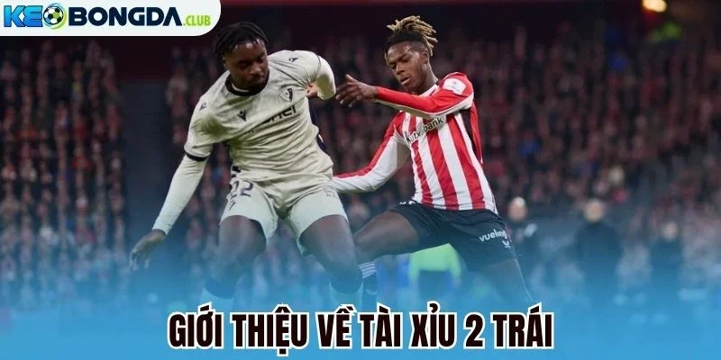 Giới thiệu về tài xỉu 2 trái