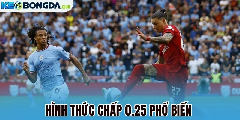 Hình thức chấp 0.25 phổ biến