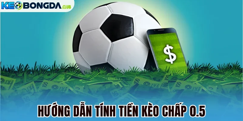 Hướng dẫn tính tiền kèo chấp 0.5