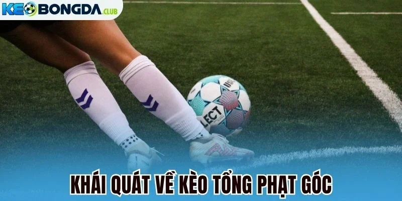 Khái quát về kèo tổng phạt góc
