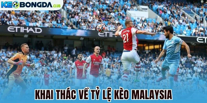 Khai thác về tỷ lệ kèo Malaysia