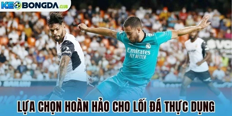 Lựa chọn hoàn hảo cho lối đá thực dụng