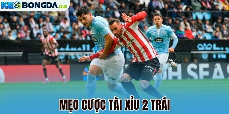 Mẹo cược tài xỉu 2 trái