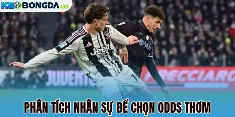 Phân tích nhân sự để chọn odds thơm