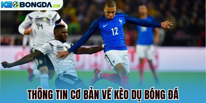 Thông tin cơ bản về kèo dụ bóng đá