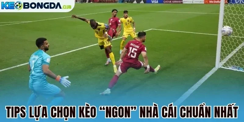 Tips lựa chọn kèo “ngon” nhà cái chuẩn nhất