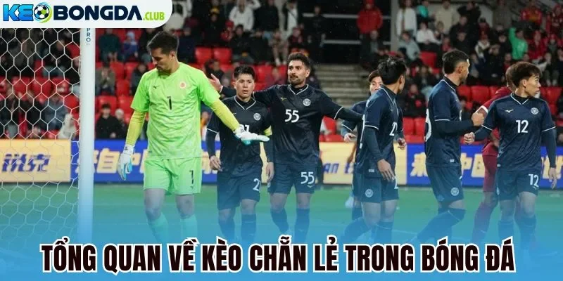 Tổng quan về kèo chẵn lẻ trong bóng đá