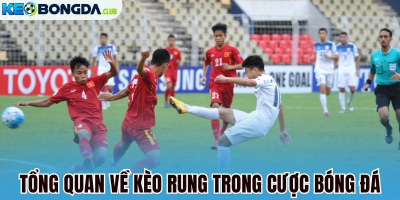 Tổng quan về kèo rung trong cược bóng đá