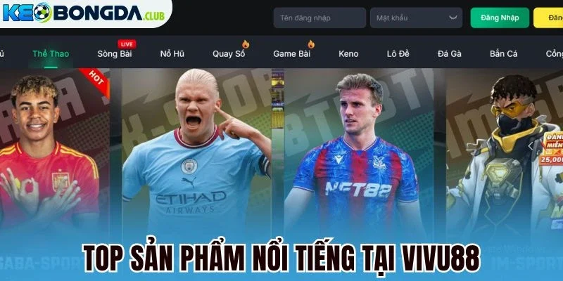 Top sản phẩm nổi tiếng tại Vivu88