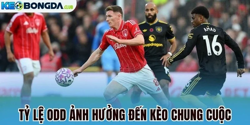 Tỷ lệ odd ảnh hưởng đến kèo chung cuộc